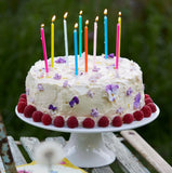 Tall Rainbow Birthday Candles